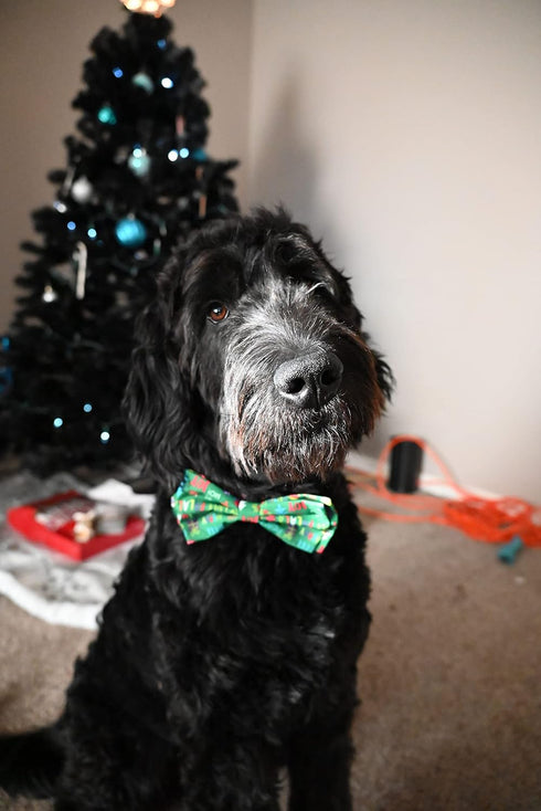 Huxley & Kent Bow Tie for Pets | Merry & Bright (Small) | Christmas Holiday Velcro Bow Tie Collar Attachment | Fun Bow Ties for Dogs & Cats | Cute...