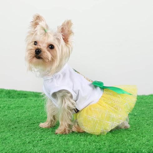 Dog Dresses for Small Medium Dogs Girl Pineapple Mesh Dress Dog Outfit, Summer Tutu Dog Dresses Cat Apparel, Cute Pet Puppy Clothing Doggie Outfit...