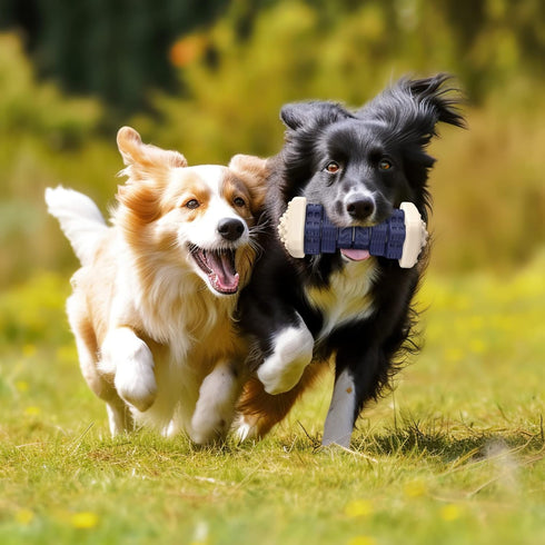 PcEoTllar Dog Toys for Aggressive Chewers, Indestructible Dog Chew Toys, Dog Puzzle Toys with Beef Flavor, Interactive Dog Toys, Safe Rubber, for ...