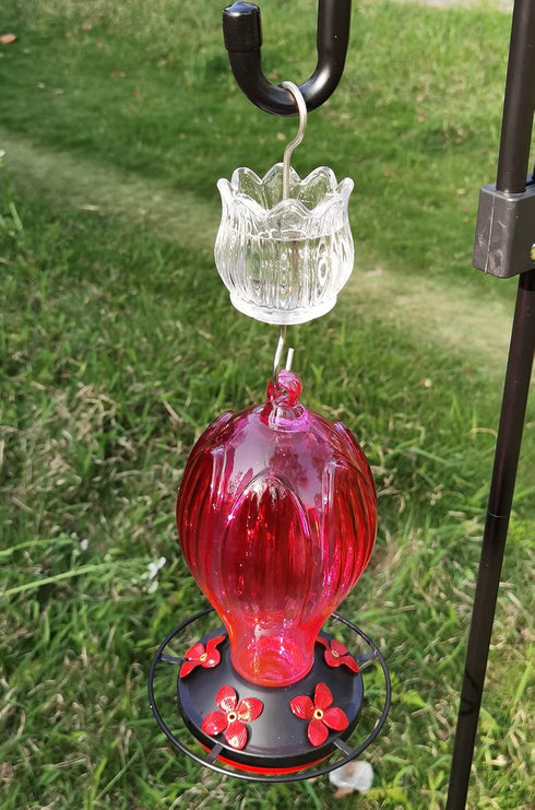 Glass Ant Moat for Hummingbird Feeder - 3 OZ Clear Tulip Insect Guard with Large Capacity...