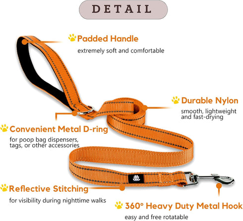FURRYFECTION Reflective Dog Collar and Leash Set with Quick Release Buckle, Padded with Neoprene Adjustable Nylon Dog Collar for Small Medium and ...