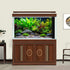 Aquarium Background Tropical Fish with Green Plants and Stones Terrarium Background Aquatic Plants Rocks Moss Tropical Style Landscape Aquarium Ba...