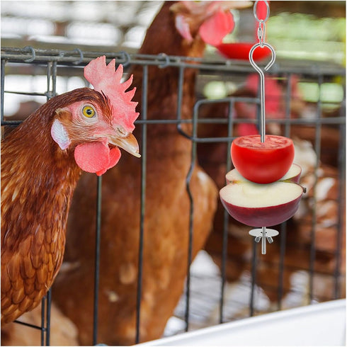 Andiker 2PCS Chicken Vegetable Skewer Fruit Holder, Stainless Steel Chicken Birds Hanging Feeder Toy for Hens Roosters Chicks Parrot...