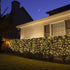 Lighting EVER Fairy Lights Plug in, 33ft 100 LED String Lights for Bedroom, Warm White Copper Wire Lights, Waterproof Indoor Outdoor Decorative Fa...