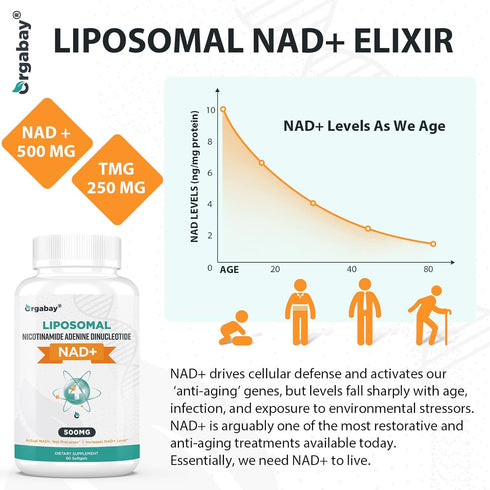 Liposomal NAD+ Supplement 500 mg, High Absorption, Boost NAD+ with TMG 250 mg, Actual NAD plus More Efficient Than Nicotinamide Riboside, Support ...