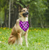 Dog Bandana, Promoted to Big Brother Dog Bandana, Dog Scarf Classical Plaid Printing, Dog Scarf Accessories, Dog Bandana Pet Scarf, Pet Plaid Scar...