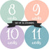 Pregnancy Weekly Belly Growth Stickers, 36 pcs - Purple Pink, Matte Finish, Cloth Surface, for Maternity Photo Sessions & Keepsakes...