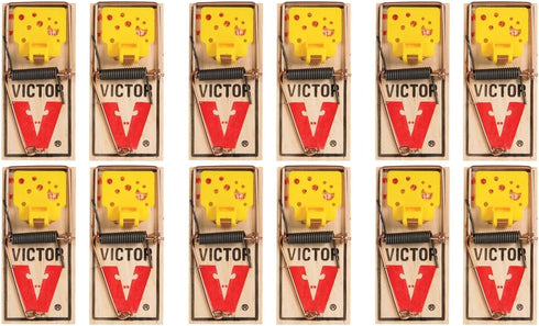 Victor EZ set mouse trap (Pack of 12)...