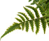 Briful 2PCS Fake Plants Potted Artificial Plants Greenery Faux Fern Eucalyptus Décor Plant for Indoor Home Office Bathroom Harmhouse Decoration...