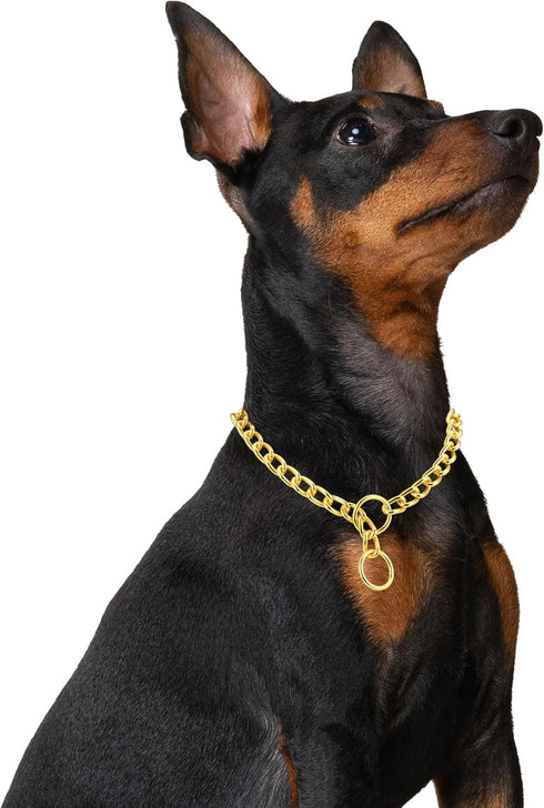 Mogoko Stainless Steel Dog Choke Chain Collar, Puppy Metal P Chain Slip Collar Pet Training Walking Choker(Gold; 3.5mm;22.0 Inch)...