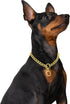 Mogoko Stainless Steel Dog Choke Chain Collar, Puppy Metal P Chain Slip Collar Pet Training Walking Choker(Gold; 3.0mm;20.0 Inch)...