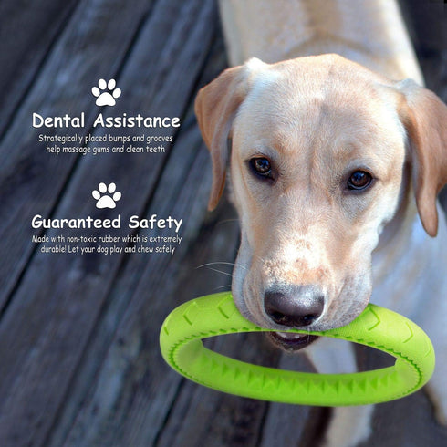 Dog Chewing Ring - Soft Rubber Ring Dental Chewing Teething Biting Chasing Training Toy for Small and Medium Dog Puppy - 10", Green...