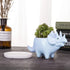 VanEnjoy Desktop Cute Cartoon Blue Triceratops Dinosaur Ceramic Succulent Pot with Tray, Bonsai Cactus Flower Pot Vase Holder Decorative Organizer...
