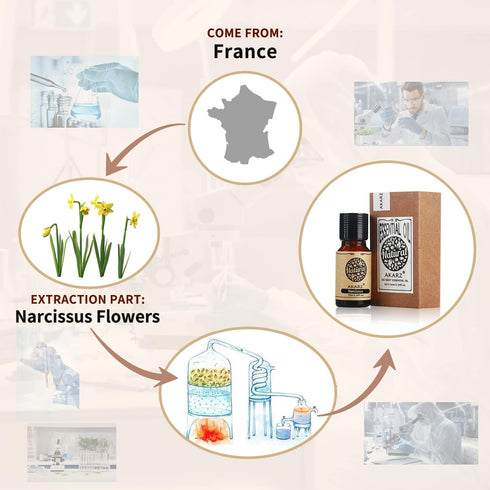 Narcissus Essential Oil Natural Organic Pure Narcissus Oil for Skin Body Hair Care,Diffuser, Candle,Soap,Making, DIY,Massage Aroma 0.34 Fl Oz (10m...
