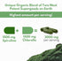 Chlorella Spirulina Powder Capsules Organic 3000 mg of BMAA Free Purest Blue Green Algae - Best Natural Detox Raw Vegan Vitamins Protein Green Sup...
