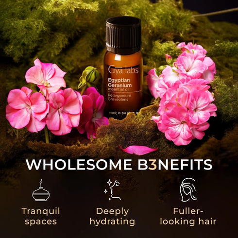 Gya Labs Egyptian Geranium Essential Oil for Diffuser - 0.34 Fl Oz - 100% Pure Natural Aromatherapy Geranium Oil for Skin, Hair Care, Massages & C...