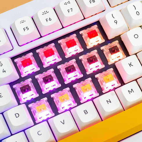 GATERON G Pro Brown Keyboard Switches Tactile 3Pin Pre-lubed for Gaming Mechanical Keyboard (Pro Brown, 70 Pcs)...
