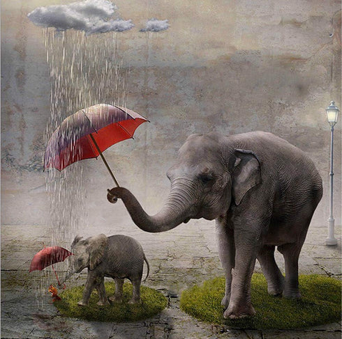 MMAHD 5D DIY Diamond Art Painting Kits for Adults Full,Elephant Full Drill Embroidery Paintings Rhinestone Pasted DIY Painting Cross Stitch Arts C...