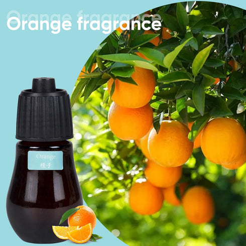 Aromatherapy Essential Oil Set - 3-Piece Essential Oil Set in Three Flavors: Eucalyptus, Lemongrass, and Orange...