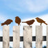 Rusty Birds Decoration, Metal Birds Statues, Lifelike Patina Metal Birds Garden Ornaments Silhouette, Garden Fence Decor Country Yard Art Gardenin...