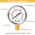 Lead-Free Pressure Gauge 1/4 NPT 0-100 Psi 2" Dial Stainless Steel Case, 1/4 NPT Lower Mount Pressure Gauge...
