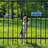 Keep Gate Closed Sign Dogs in Yard Sign, (2 Pack) Please Close Gate Sign, 10" x 3.5" Shut the Gate Metal Sign, Aluminum Latch Gate Sign for Fence ...