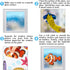 9 Sheets Summer Window Clings Ocean Themed Tropical Fish Window Decals Sea Life Double-Sided Window Decals for Summer School Home Office Bathroom ...