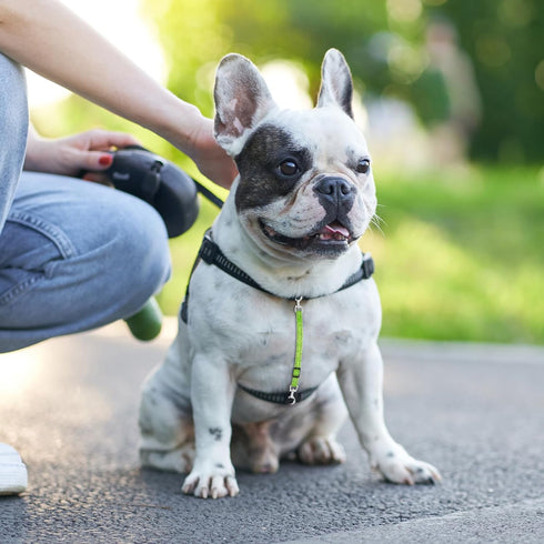 2PCS Reflective Dog Safety Collar Clips, Adjustable Nylon Pet Collar Double Ended 360 Degree Rotatable Backup Clasp Clips Dog Collar Harness Conne...