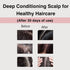 Moist Diane Perfect Beauty Extra Vital Shampoo, Sulfate-Free, with Organic Argan Oil & Vitalizing Keratin from Japan, Rejuvenate Silky Smooth Hair...