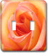 3dRose lsp_1225_2 Peach Rose Double Toggle Switch...
