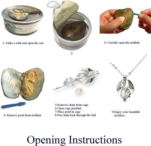 Pearlina Dragon Cultured Pearl in Oyster Necklace Set Silver-tone Cage w/Stainless Steel Chain 18"...