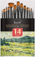 Paint Brushes Set, 14 PCS Artist Brush for Acrylic Oil Watercolor Gouache Artist Professional Painting Kits with Synthetic Nylon Tips...