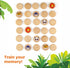 Ulanik Wild Animals Matching Memory Game for Toddlers Age 3 + Year Old Preschool Wooden Board Games for Kids 4-8 Learning & Education Toys — 30 ch...