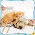 2 Pcs Dog Metal Combs Cat Wooden Handle Grooming Comb Stainless Steel Cat Comb Double Side Metal Comb for Dogs Pet Dog Grooming Brush Pet Hair Bru...