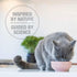 Feline Natural - Grain-Free Freeze Dried Cat Food - Chicken & Lamb, 3.5oz...
