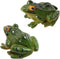 2pcs Resin Simulation Frog Statue Animal Sculpture 6.5x5.5x3.8cm for Home Garden Backyard Outdoor Decoration...