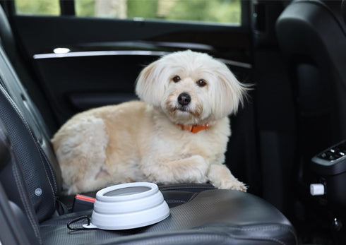 OHMO-Collapsible Dog Water Bowl No Spill from Car Movement(24oz Medium, Ash), Travel Dog Bowls, Less Splash Portable Pet Bowl for Road Trip, Cat T...