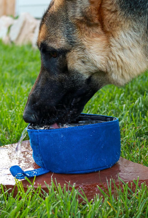 CALDO Collapsible Dog Bowl - Perfect for Food and Water on The Go (Blue)...