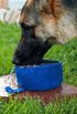CALDO Collapsible Dog Bowl - Perfect for Food and Water on The Go (Blue)...