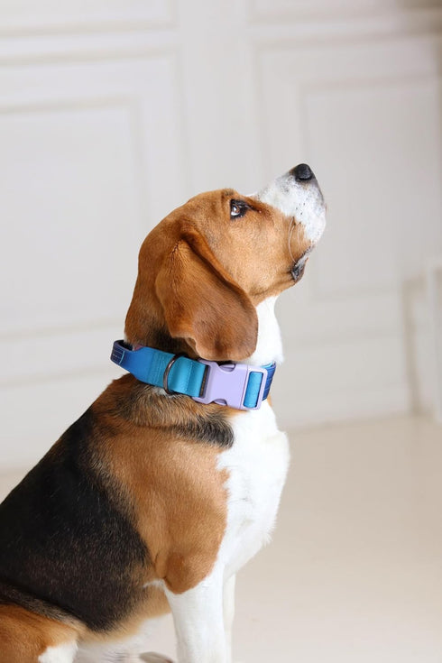 Tactical Dog Collar with Control Handle - Adjustable, Heavy Duty, Training and Walking for Medium and Large Breeds...