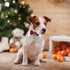 Dog Tuxedo Collar with Bow Tie, 1 Pack Brown Dog Tuxedo Collar with Bowtie Soft Formal Pet Cats Necktie Collar for Dog Wedding Grooming Bows Birth...