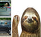 Sloth Automotive Decals Car Window Cling Funny Car Sticker Animal Window Decal for Vehicles...