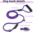 3Pcs Slip Lead Dog Leash, 5 FT Dog Training Leash with Standard Padded Handle, Strong Nylon Dog Slip Lead for Training Running and Walking...