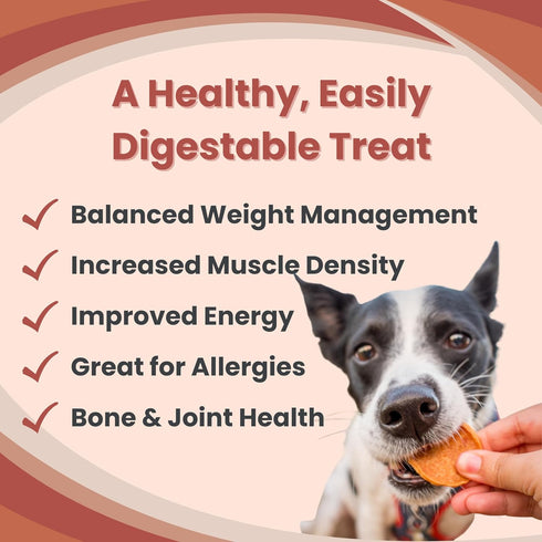 Dog Training Treats - Turkey Chips, Single Ingredient, Lean, All Natural, Healthy Dog Treats for Small, Medium, Large Dog Breeds, & Puppies, Made ...
