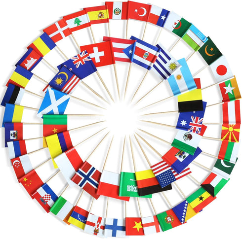 Anley Assorted 100 Different Countries Toothpick Flag - Vivid Double Sided Print & Solid Smooth Pick - Party Decoration Cocktail Fruit Stick Cupca...