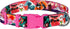 Nature Dog Collar Travel Pattern Adjustable Nylon Pet Collars for Small Medium Large Dogs Puppy Designer Print (Japan, Neck Fit 14"-18")...