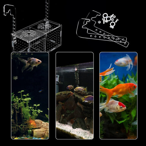 Fish Breeding Box for Aquarium Acrylic Fish Tank Breeder Divider Box with Suction Cups Transparent Hatchery Hanging Incubator for Fishes Shrimp Cl...
