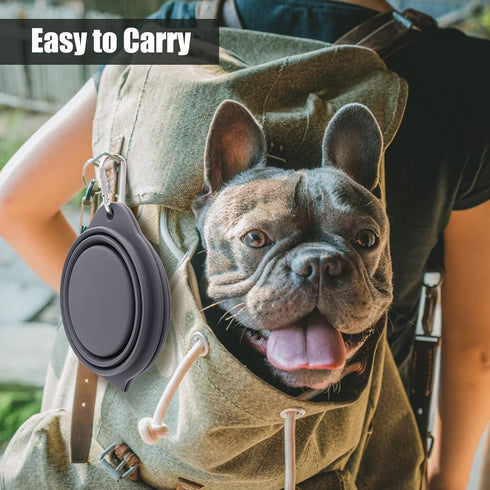 SLSON Collapsible Dog Bowls,Integrated Molding Dog Double Bowl No Plastic Rim 2 in 1 Foldable Pet Food & Water Bowl Cat Feeder Dish for Walking,Hi...