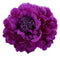 HC-01 Floral Fall Peony Flower Hair Clip Flamenco Dancer Pin up Flower Brooch (Purple)...