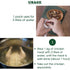 Dh Foods Pho Spice Packet | Chicken pho soup seasoning | Comes with spice filter bag | 3 packs...